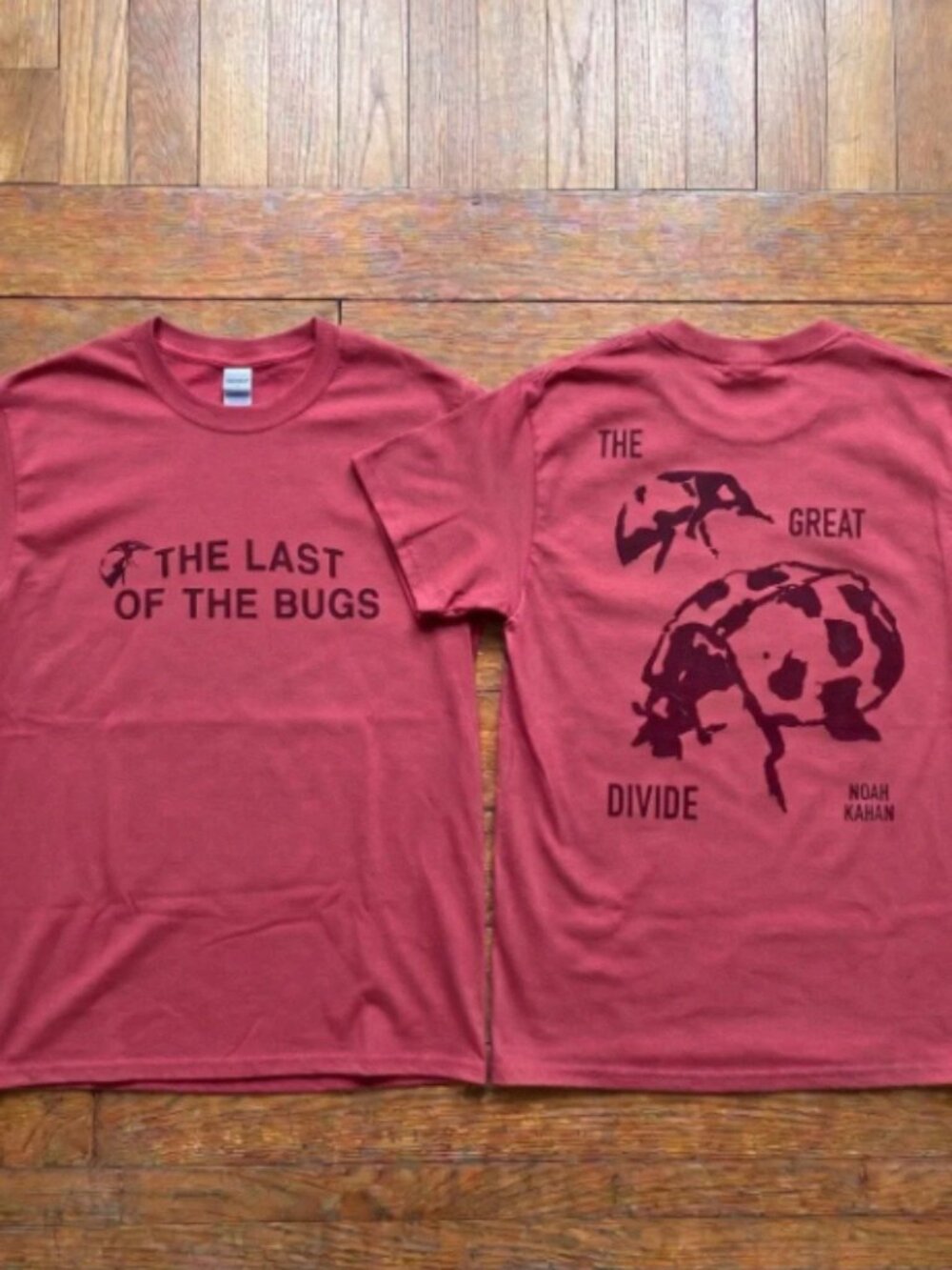 Noah Kahan The Great Divide Comfort Colors T-Shirt LadyBugs Crimson